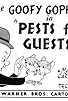 Primary photo for Pests for Guests Primary photo for Pests for Guests
