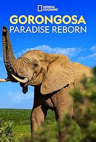 Primary photo for Gorongosa: Paradise Reborn Primary photo for Gorongosa: Paradise Reborn