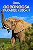 Primary photo for Gorongosa: Paradise Reborn Primary photo for Gorongosa: Paradise Reborn