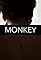 Monkey's primary photo