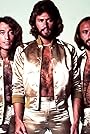 The Bee Gees's primary photo The Bee Gees's primary photo