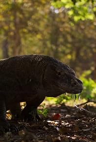 Primary photo for Andy and the Komodo Dragon