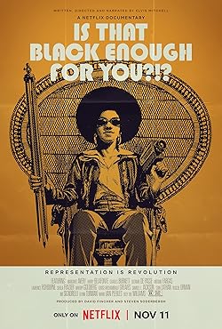 Poster of Is That Black Enough for You?!?