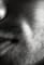 Son Lux: Weapons VII's primary photo