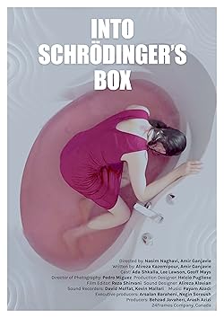 Poster of Into Schrodinger's Box