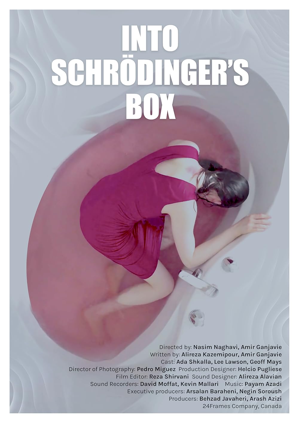 Into Schrodinger s Box