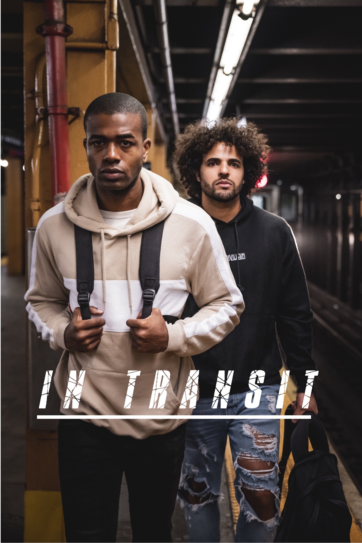 Poster of In Transit