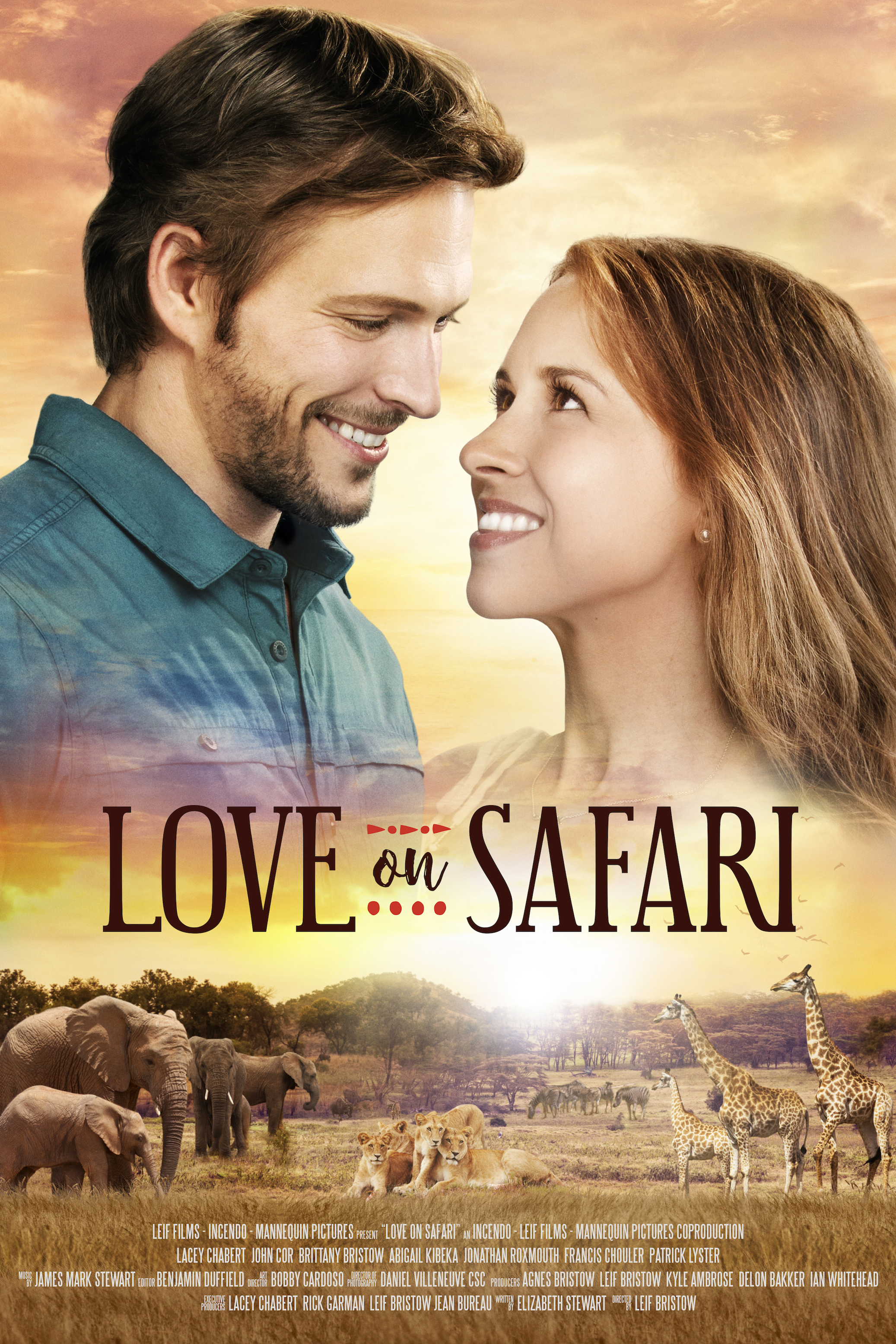 Poster of Love on Safari