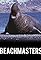 Beachmasters's primary photo