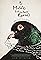 Music for Black Pigeons's primary photo