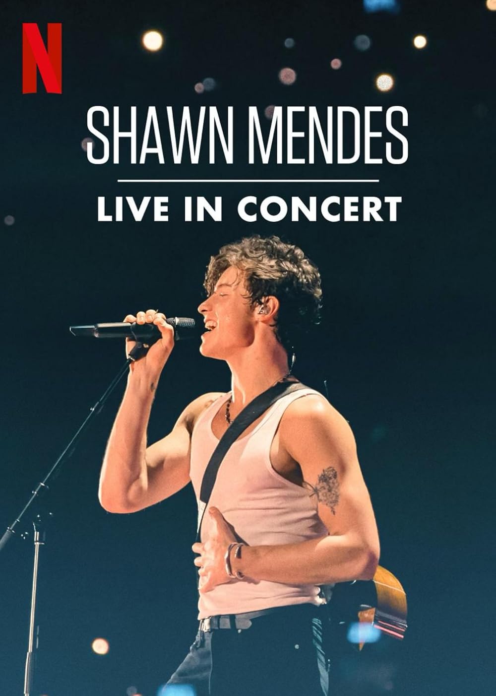 Shawn Mendes  Live in Concert