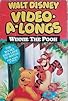 Primary photo for Walt Disney Video-A-Longs: Winnie the Pooh Primary photo for Walt Disney Video-A-Longs: Winnie the Pooh
