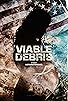 Primary photo for Viable Debris