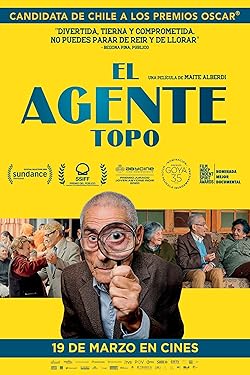 Poster of The Mole Agent