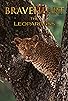 Primary photo for Braveheart: The Leopardess