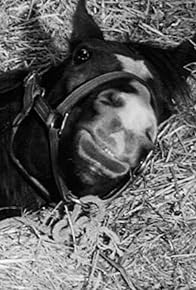 Primary photo for To Cindy, with Love