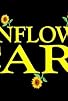 Primary photo for Sunflower Care Primary photo for Sunflower Care