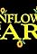 Sunflower Care's primary photo