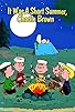 Primary photo for It Was a Short Summer, Charlie Brown Primary photo for It Was a Short Summer, Charlie Brown