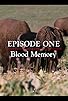 Primary photo for Blood Memory Primary photo for Blood Memory