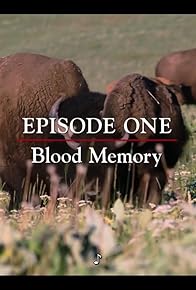 Primary photo for Blood Memory Primary photo for Blood Memory