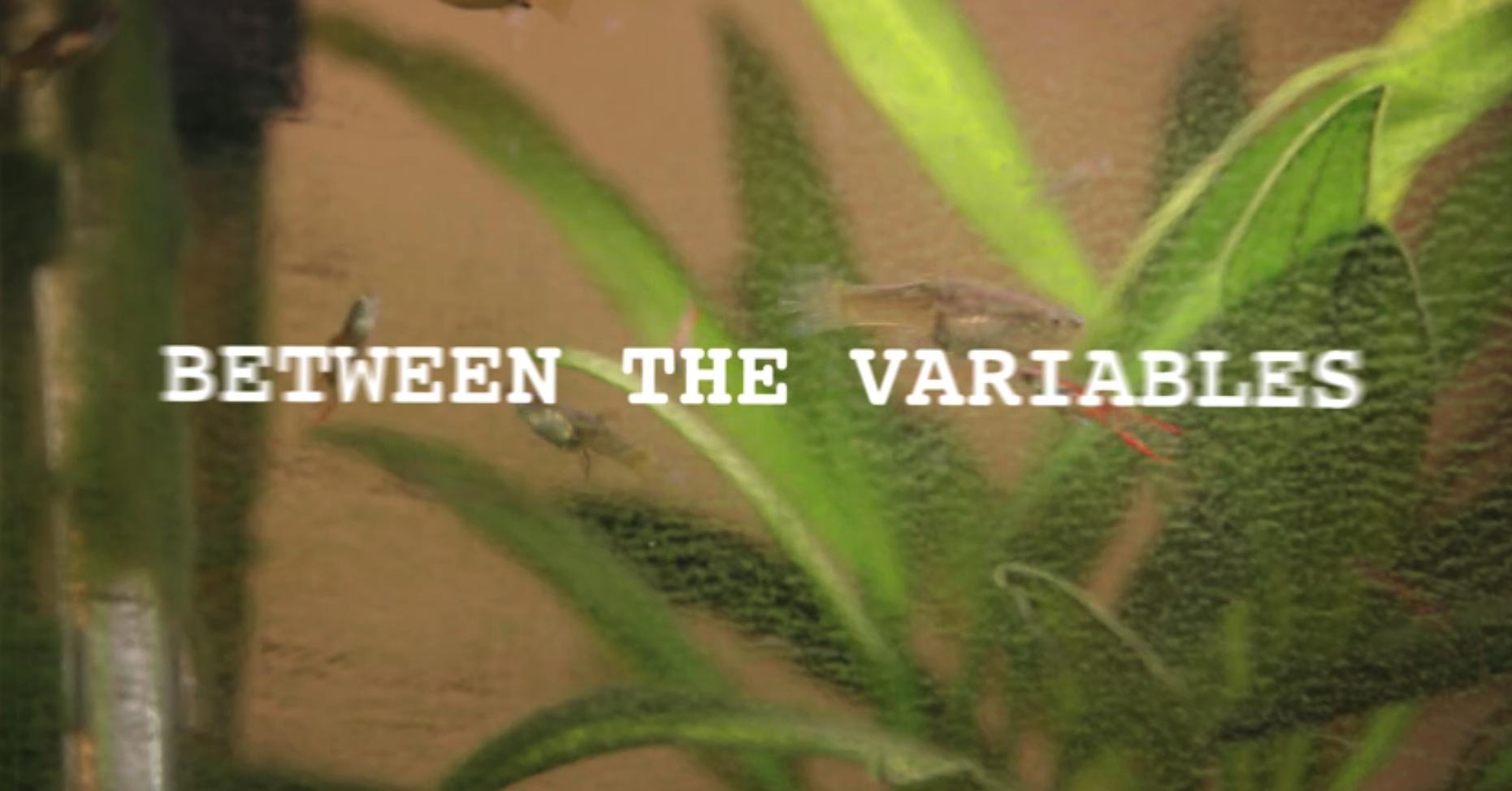 Between the Variables