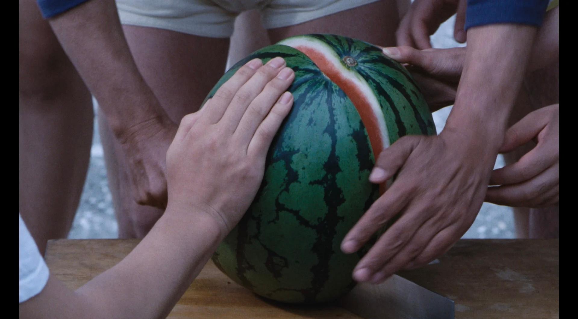 watermelon様へ Sugar Momma Hybrid Watermelon Seed | Gurney's Seed & Nursery Co.