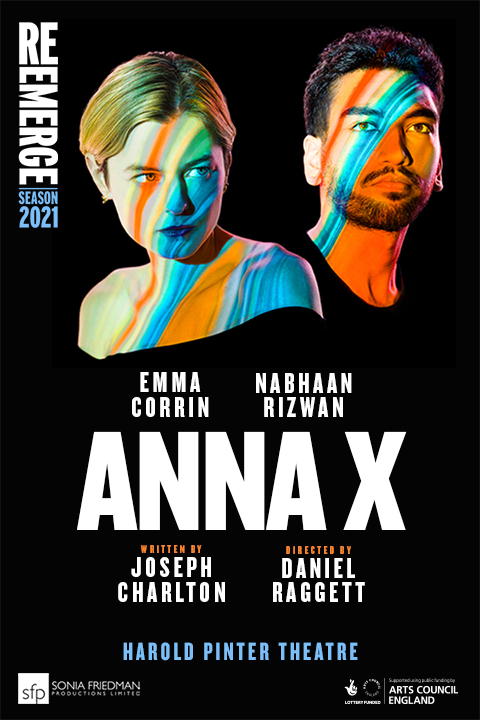 Poster of Anna X