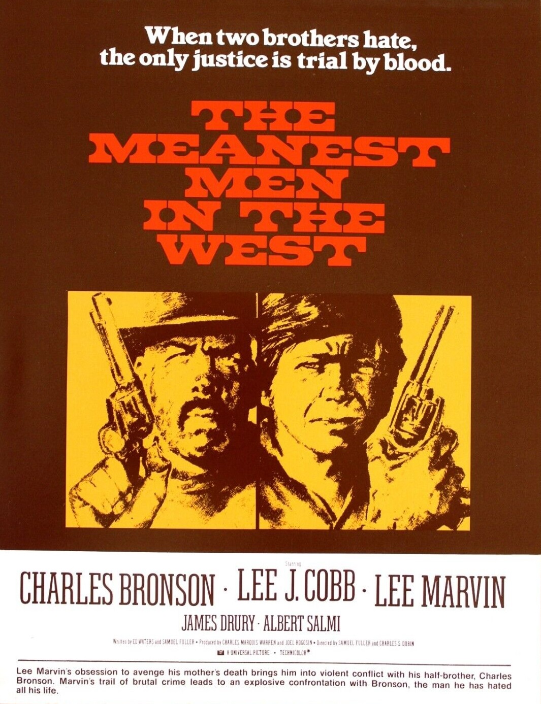 Poster of The Meanest Men in the West