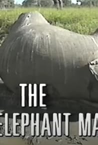 Primary photo for The Elephant Man Primary photo for The Elephant Man