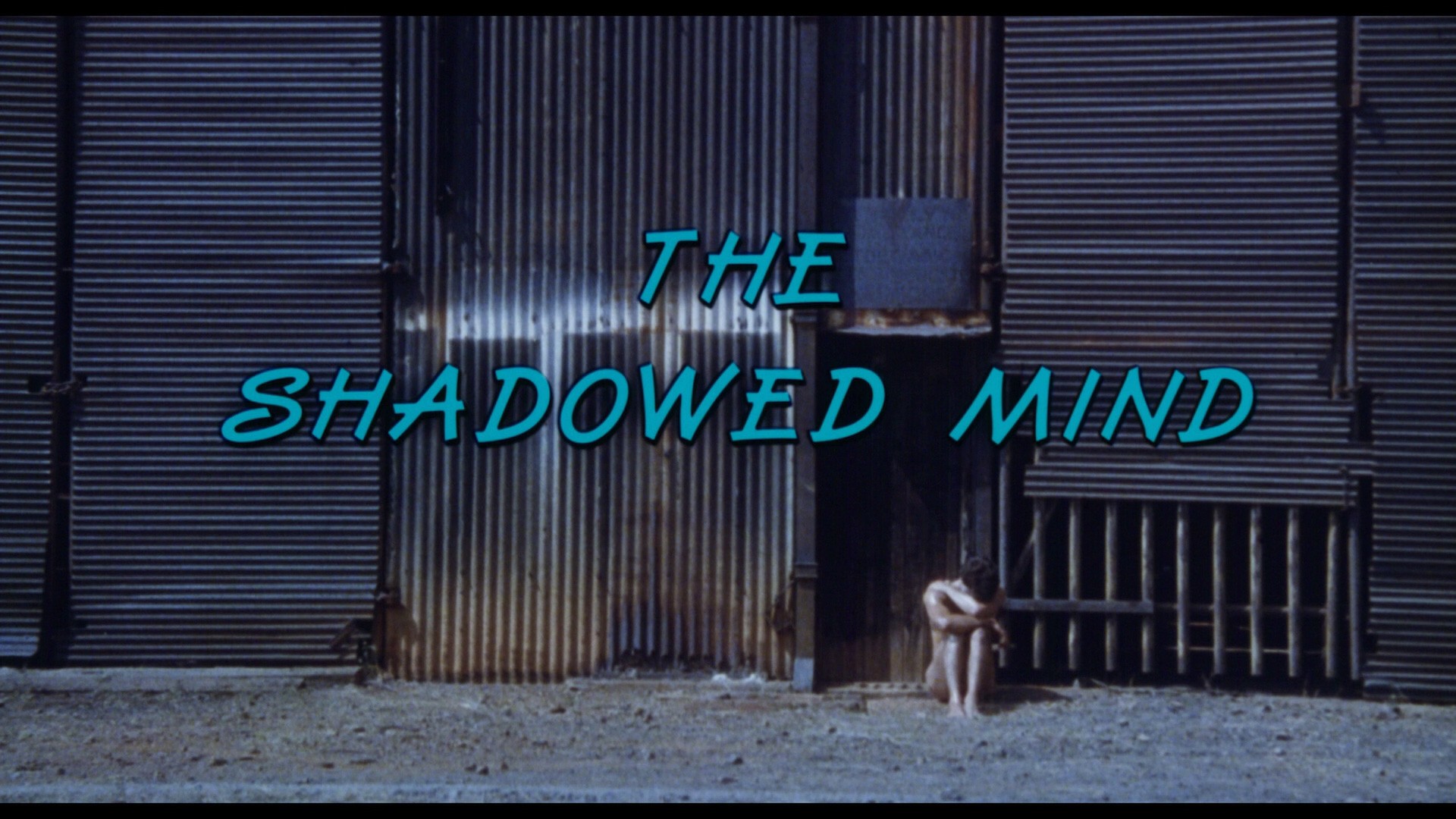 The Shadowed Mind (1988)