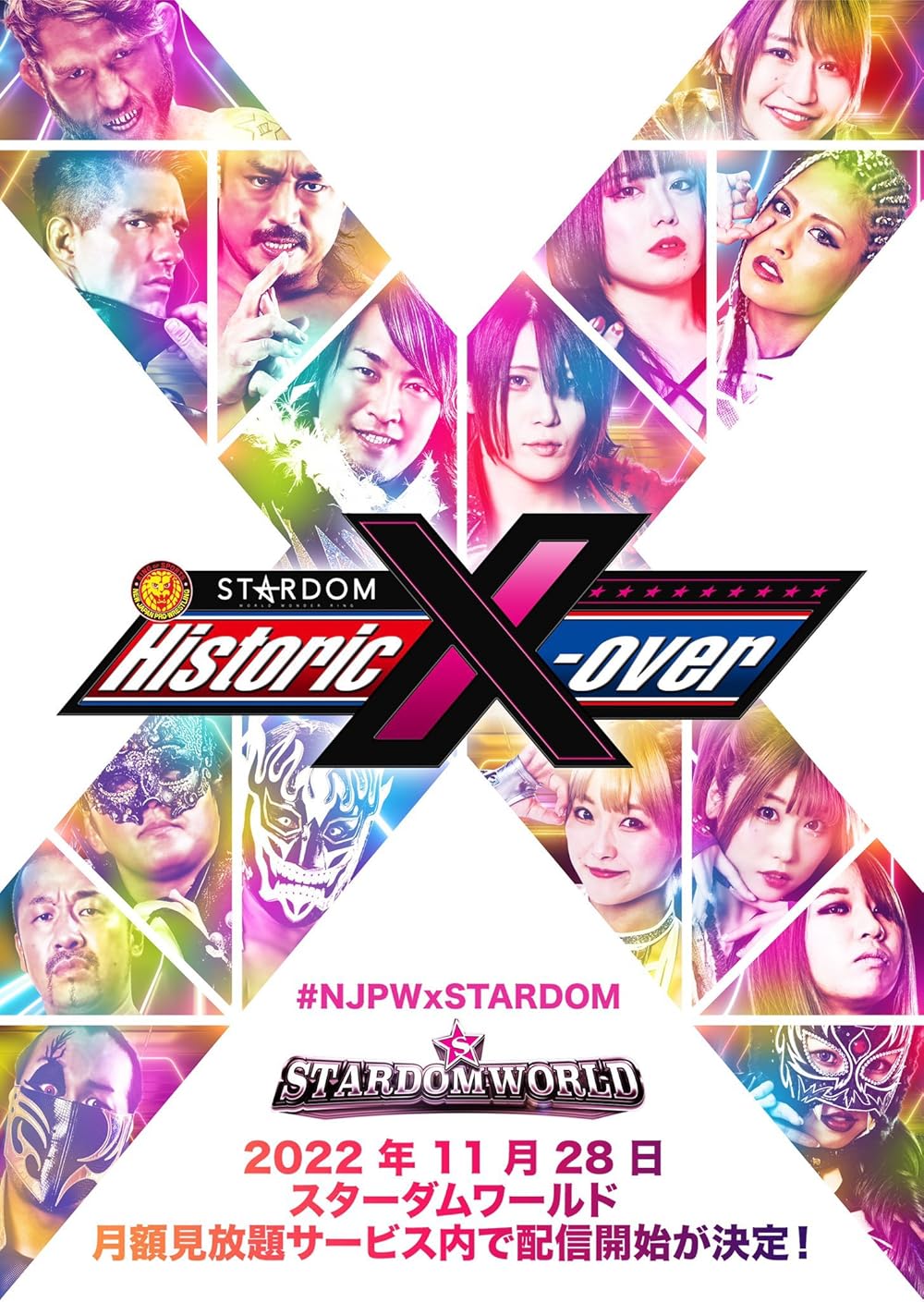 その他 STARDOM Season.10 ?NEW YEAR STARS 2013? [DVD] STARDOM Io Shirai(Iyo Sky) DVD 2013-2014 Red Belt V10