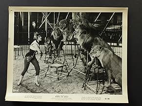 पोस्टर देखें