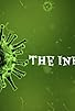 Primary photo for The Infection Primary photo for The Infection