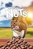 Primary photo for Going Nuts: Tales from the Squirrel World Primary photo for Going Nuts: Tales from the Squirrel World