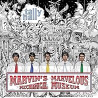 Primary photo for Tally Hall: Ruler of Everything