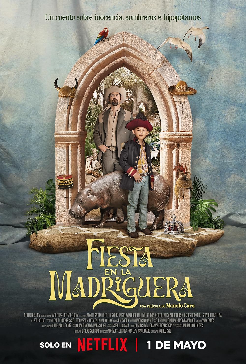 Down the Rabbit Hole