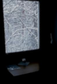 Primary photo for Evy