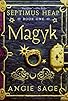 Primary photo for Septimus Heap: Magyk