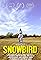 Snowbird's primary photo