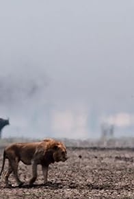 Primary photo for Purgatory | Katavi: Africa's Fallen Paradise