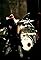 Dir En Grey: Crime and Punishment's primary photo