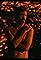 Devendra Banhart: Sirens's primary photo