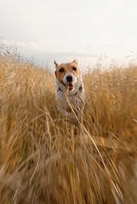 Primary photo for Harvest Hound: Outside Haven