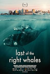 Primary photo for Last of the Right Whales Primary photo for Last of the Right Whales