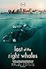 Primary photo for Last of the Right Whales Primary photo for Last of the Right Whales