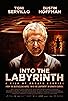 Primary photo for Into the Labyrinth Primary photo for Into the Labyrinth