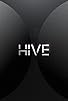 Primary photo for HIVE