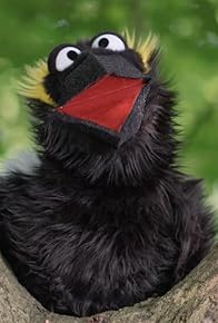 Primary photo for Nice to Tweet You