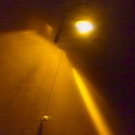 Primary photo for Gray Winter Evening